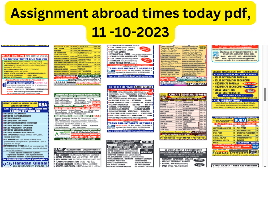 assignment abroad times today download