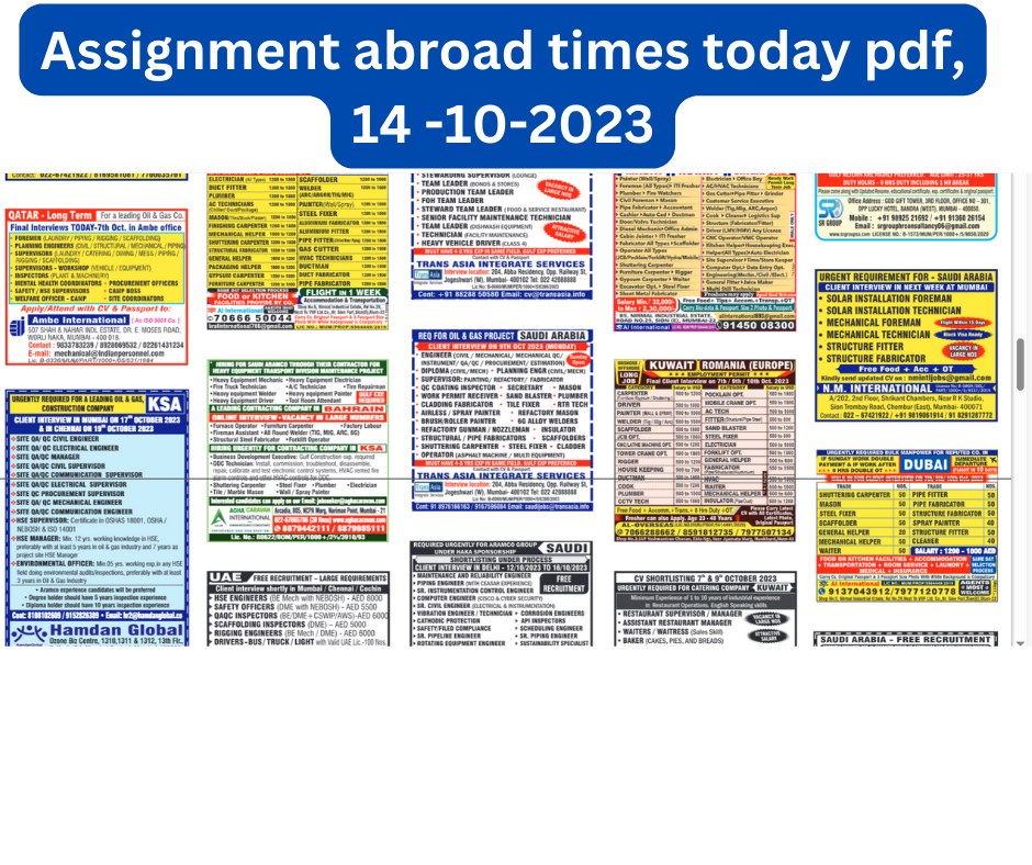 assignment abroad times pdf today 14 october 2023