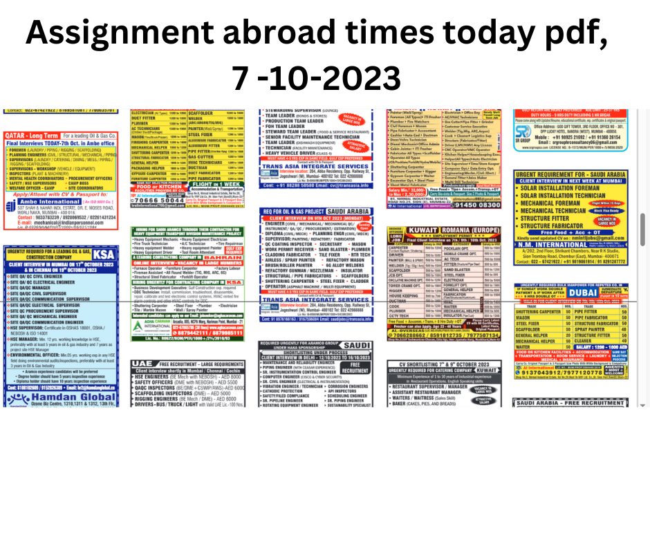 assignment abroad times 8 july 2023 pdf download