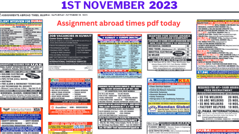 Assignment abroad times pdf today 1 nov 2023
