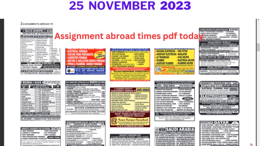 Assignment Abroad Times Pdf Today Epaper Mumbai 25 Nov 2023