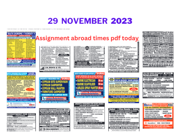Assignment abroad times pdf today 29 Nov 2023