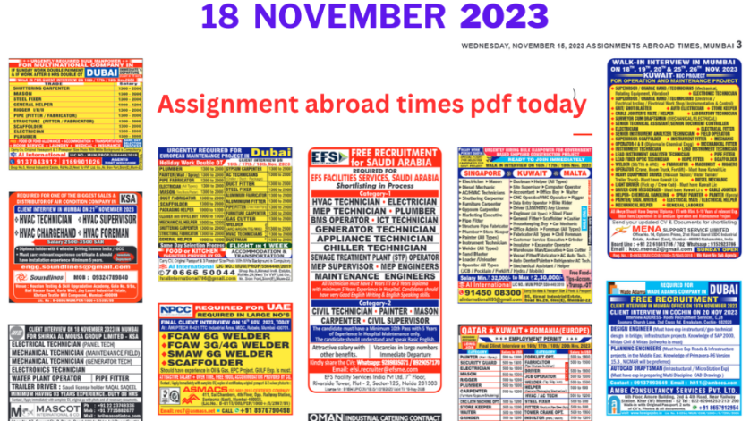 assignment abroad epaper pdf