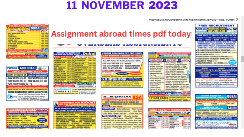 Assignment abroad times pdf today 11 nov 2023