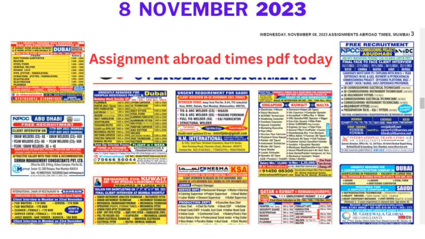 Assignment Abroad Times Pdf Today Epaper Mumbai 8 Nov 2023
