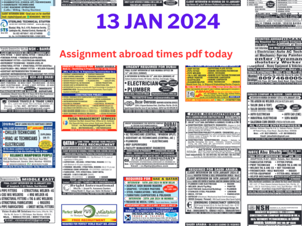 Assignment abroad times pdf today 13 nov 2024