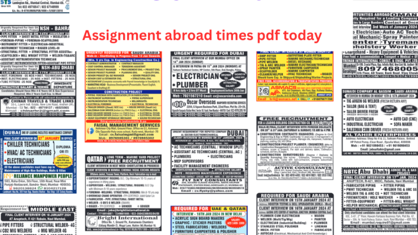 Assignment abroad times pdf today 13 nov 2024